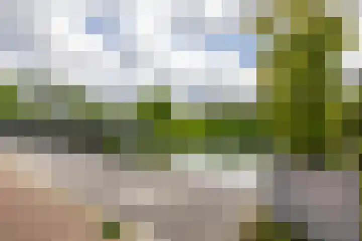 Ellensmolen 22 Groningen thumbnail 44