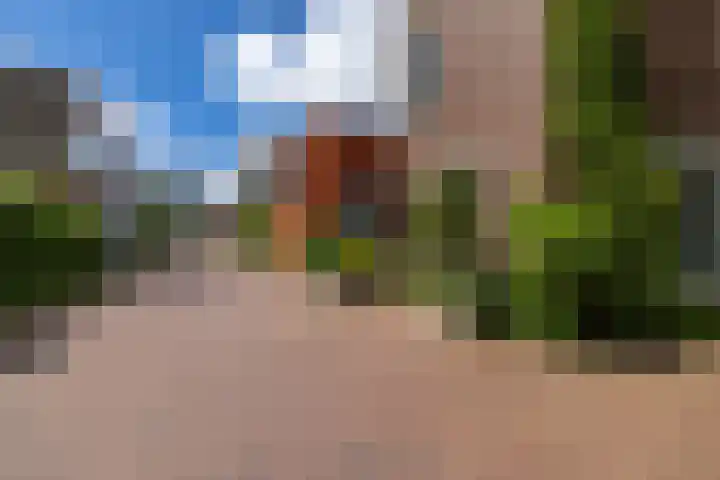 Ellensmolen 22 Groningen thumbnail 6