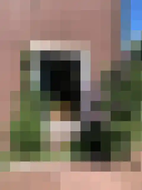 Ellensmolen 22 Groningen thumbnail 8