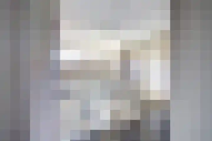 Ellerbecklaan 11 Venray thumbnail 24
