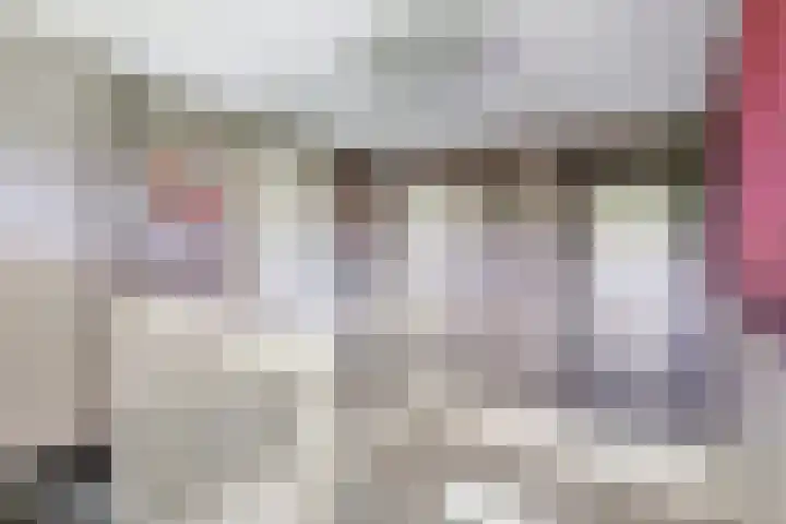 Ellerbecklaan 11 Venray thumbnail 25