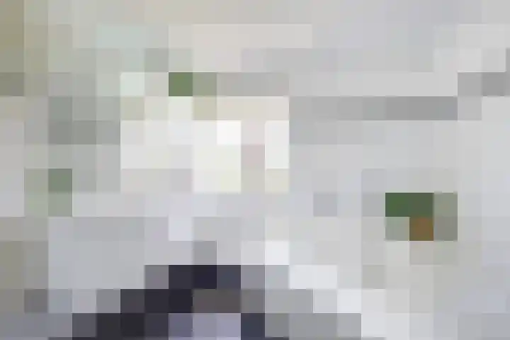 Ellerbecklaan 11 Venray thumbnail 30