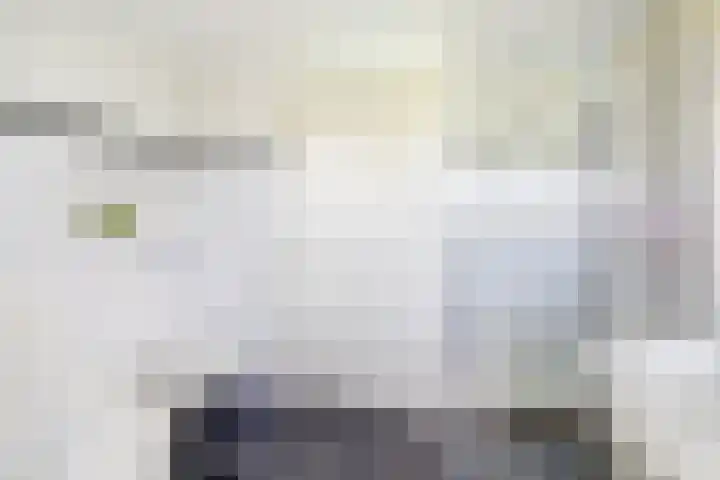 Ellerbecklaan 11 Venray thumbnail 31