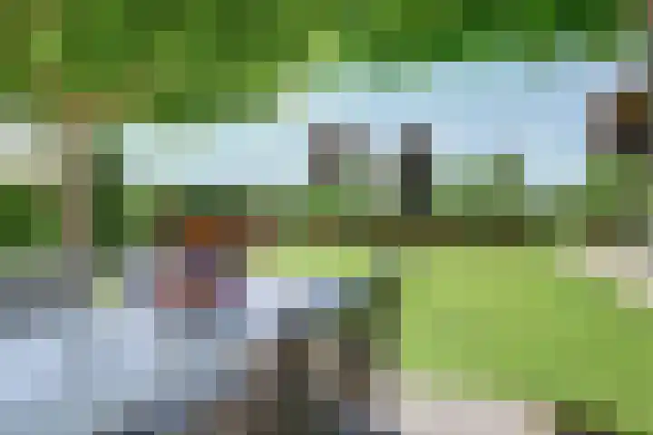 Ellerbecklaan 11 Venray thumbnail 33