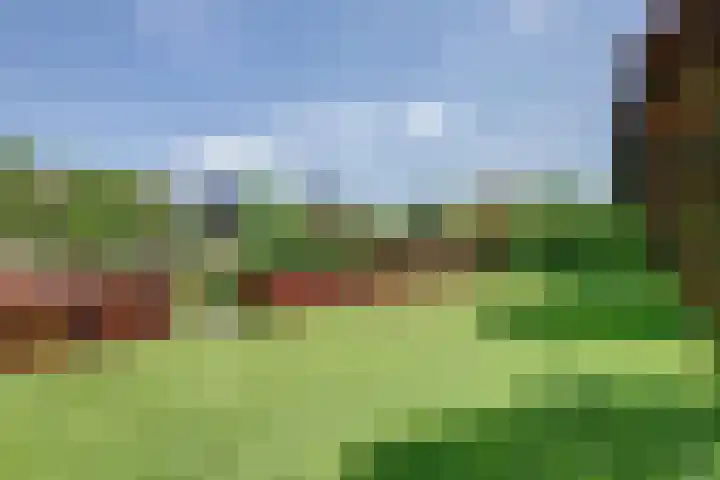 Ellerbecklaan 11 Venray thumbnail 39