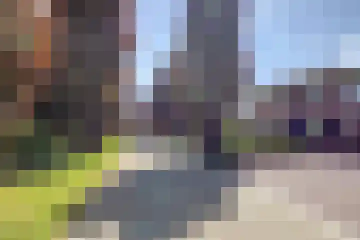 Ellerbecklaan 11 Venray thumbnail 43