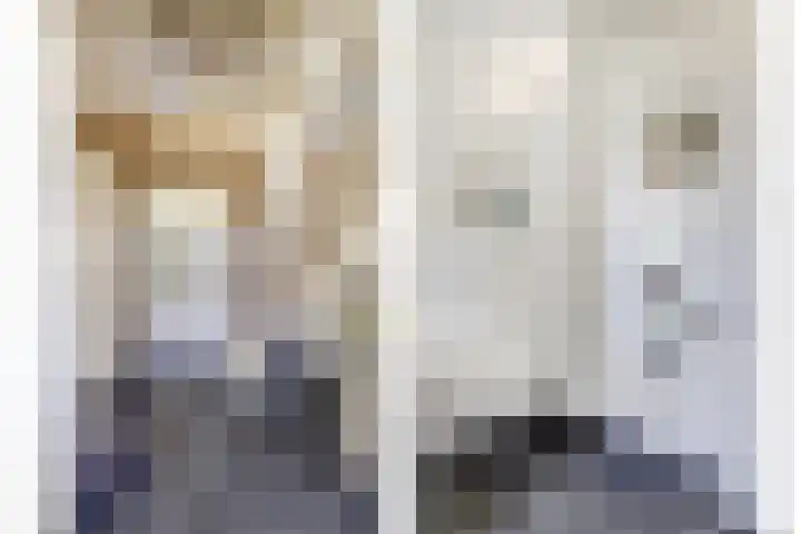 Ellerbecklaan 11 Venray thumbnail 8