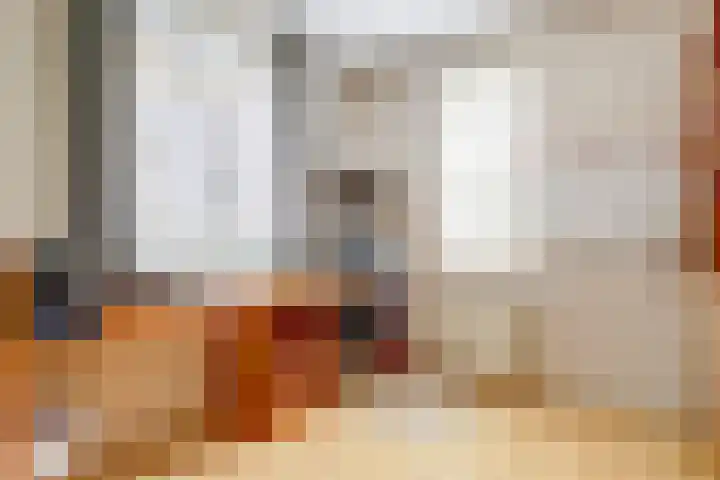 Ellerbecklaan 11 Venray thumbnail 9
