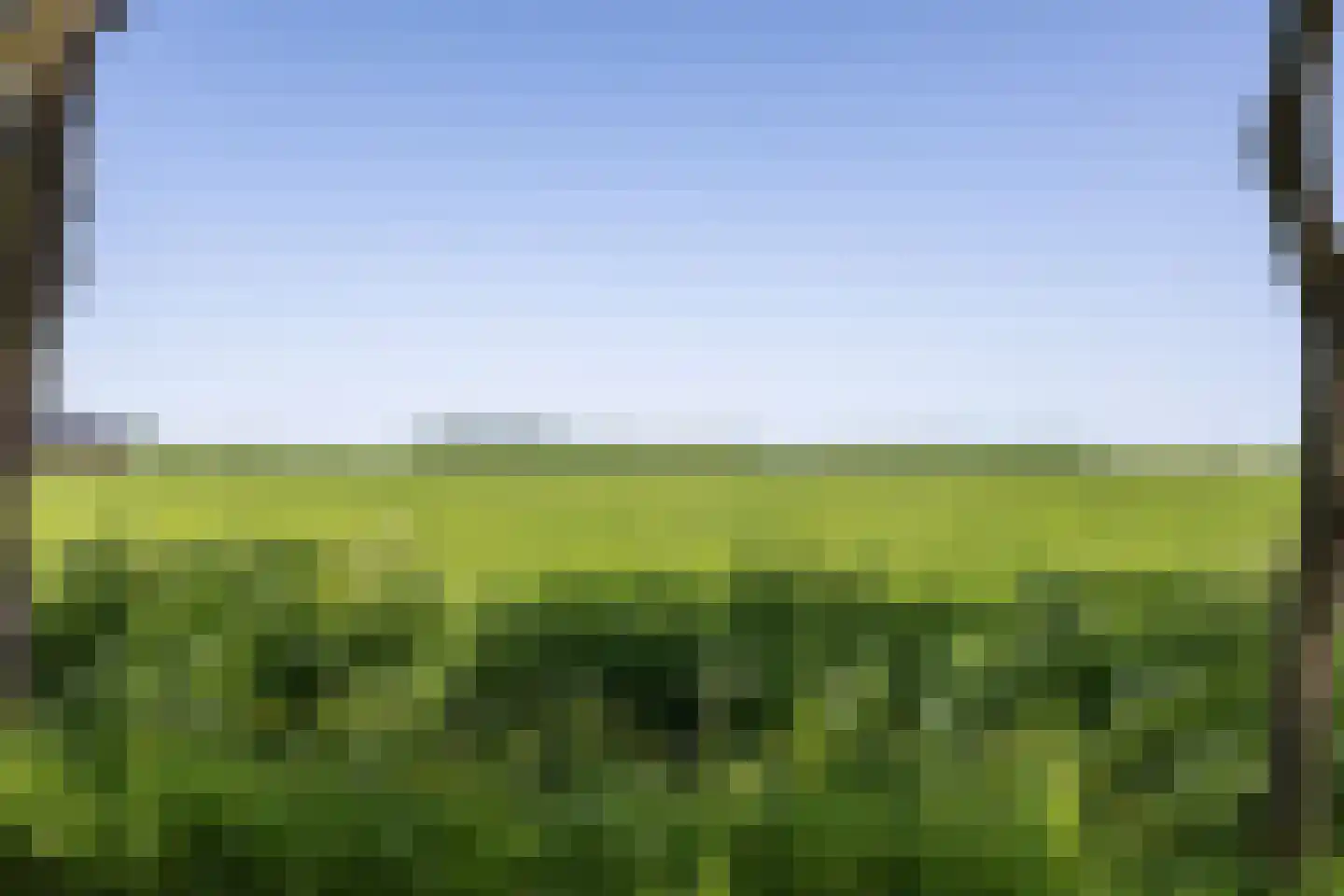 Ellerhuizen 13 Bedum thumbnail 10