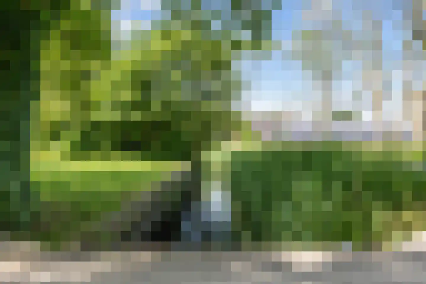 Ellerhuizen 13 Bedum thumbnail 13