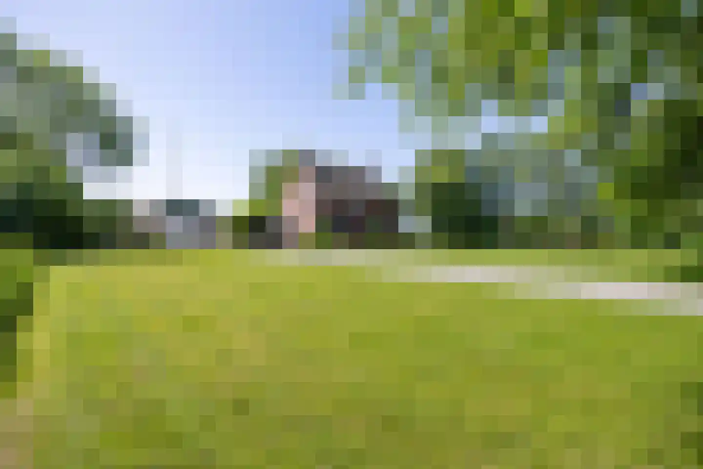 Ellerhuizen 13 Bedum thumbnail 14
