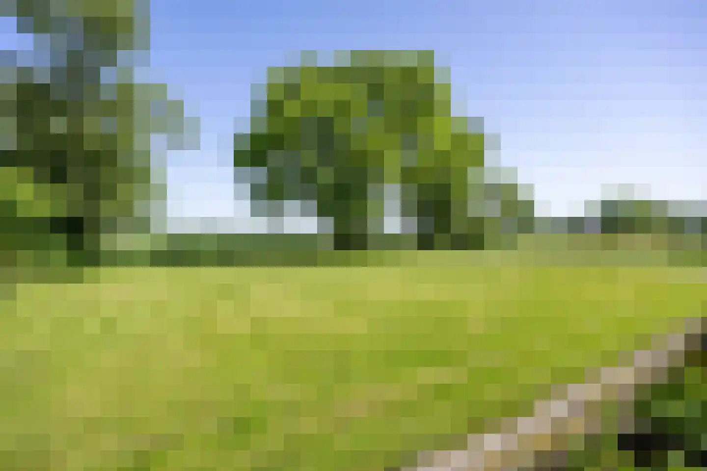 Ellerhuizen 13 Bedum thumbnail 15