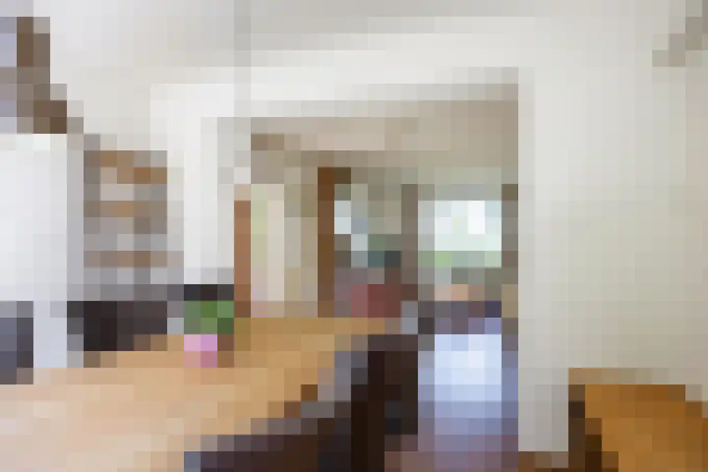 Ellerhuizen 13 Bedum thumbnail 29