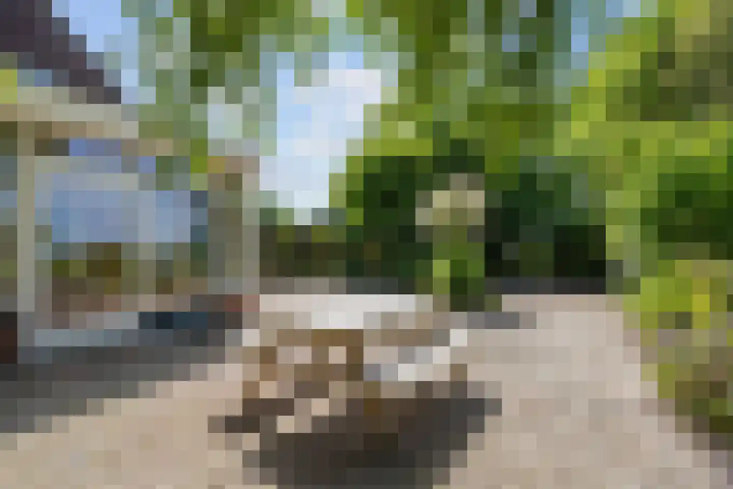 Ellerhuizen 13 Bedum thumbnail 33
