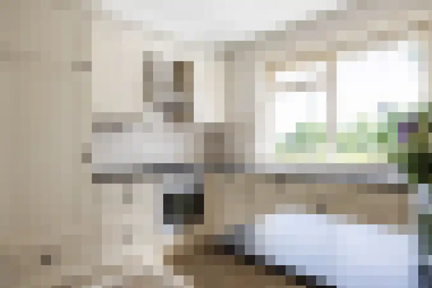 Ellerhuizen 13 Bedum thumbnail 35