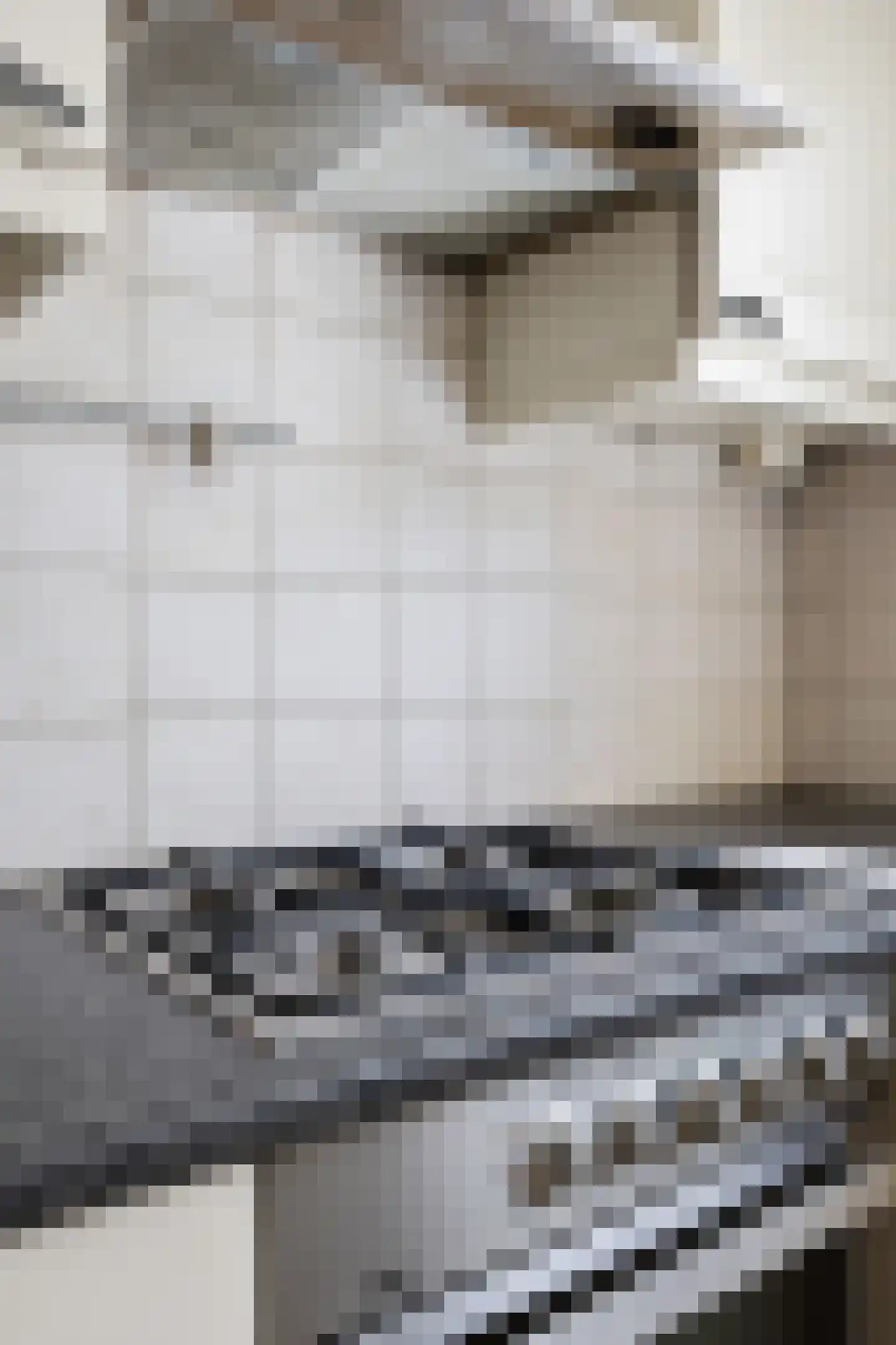 Ellerhuizen 13 Bedum thumbnail 36