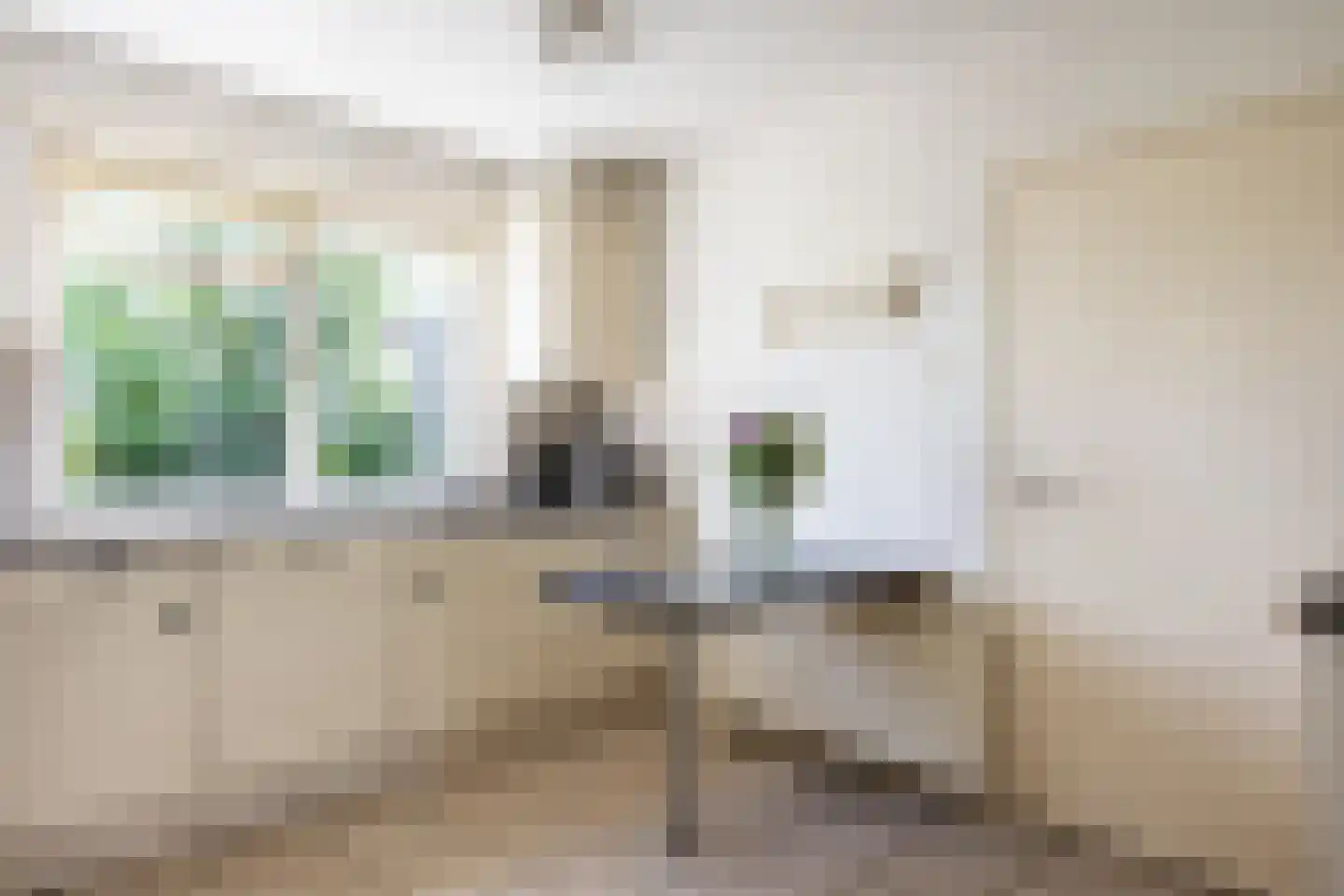 Ellerhuizen 13 Bedum thumbnail 38