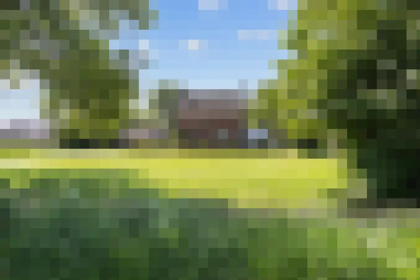 Ellerhuizen 13 Bedum thumbnail 4