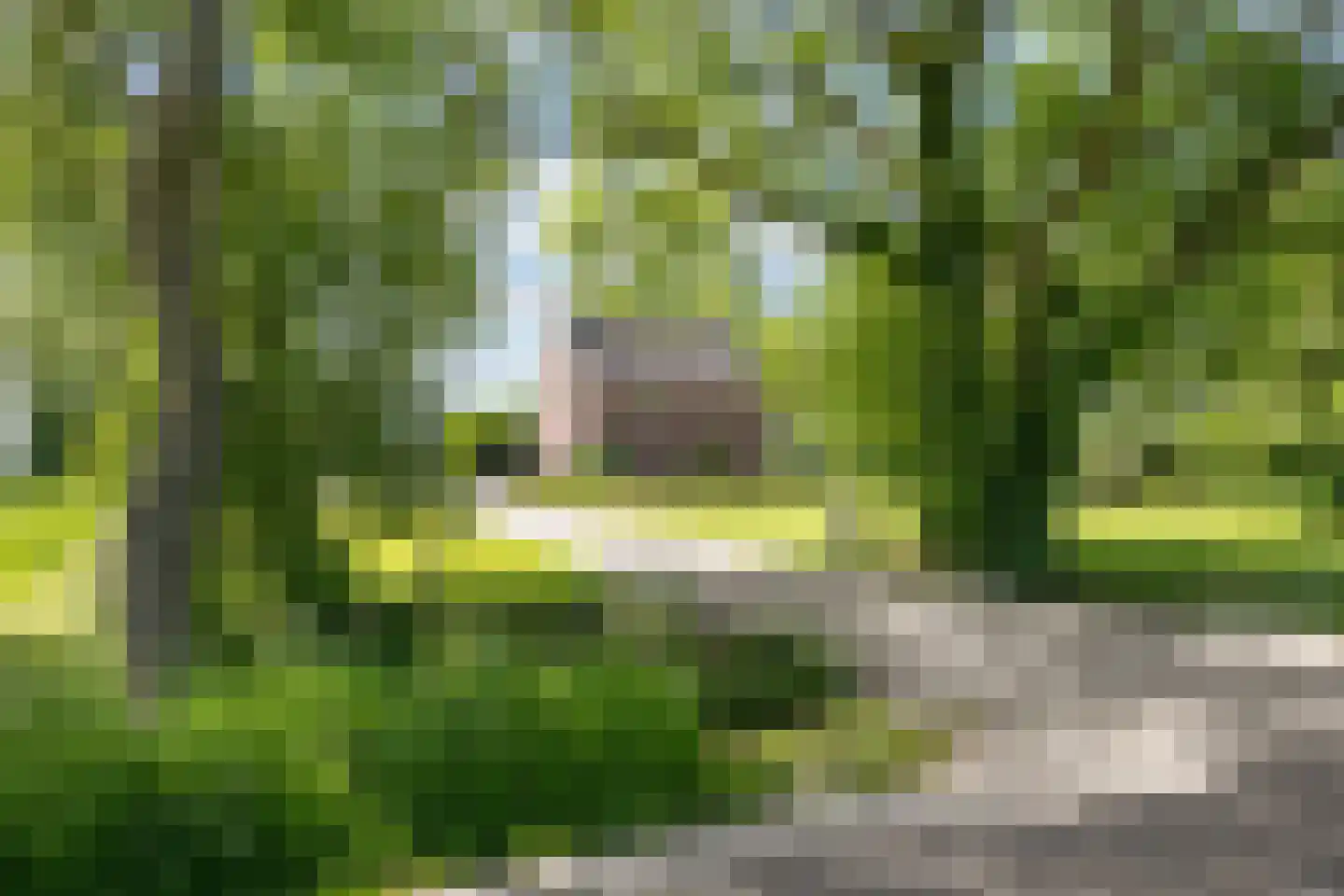 Ellerhuizen 13 Bedum thumbnail 5