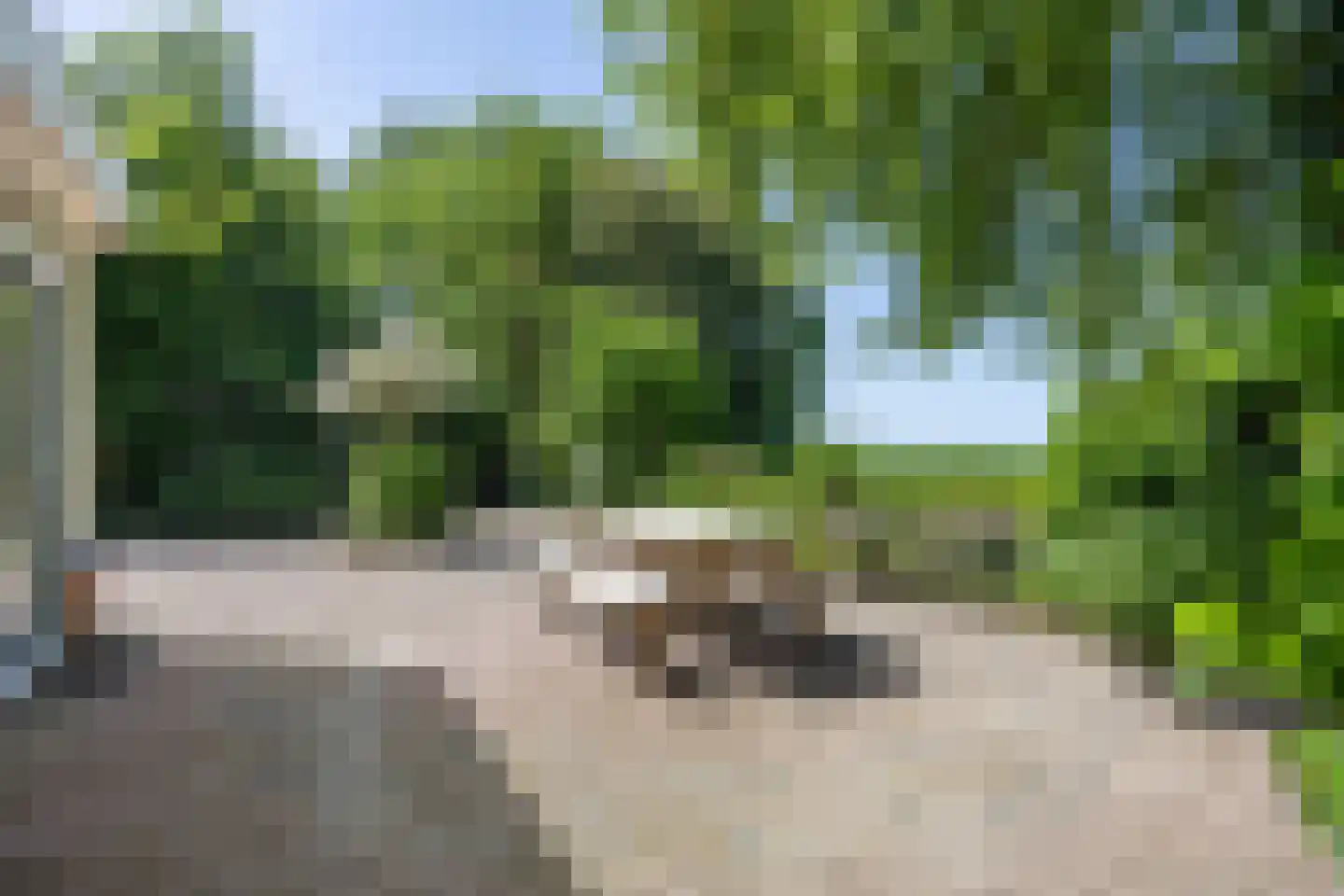 Ellerhuizen 13 Bedum thumbnail 55