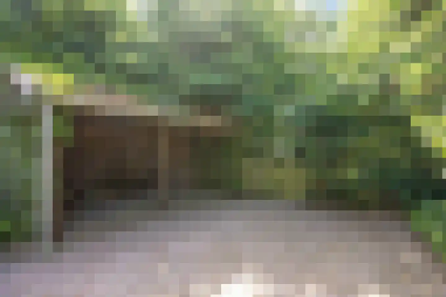 Ellerhuizen 13 Bedum thumbnail 57