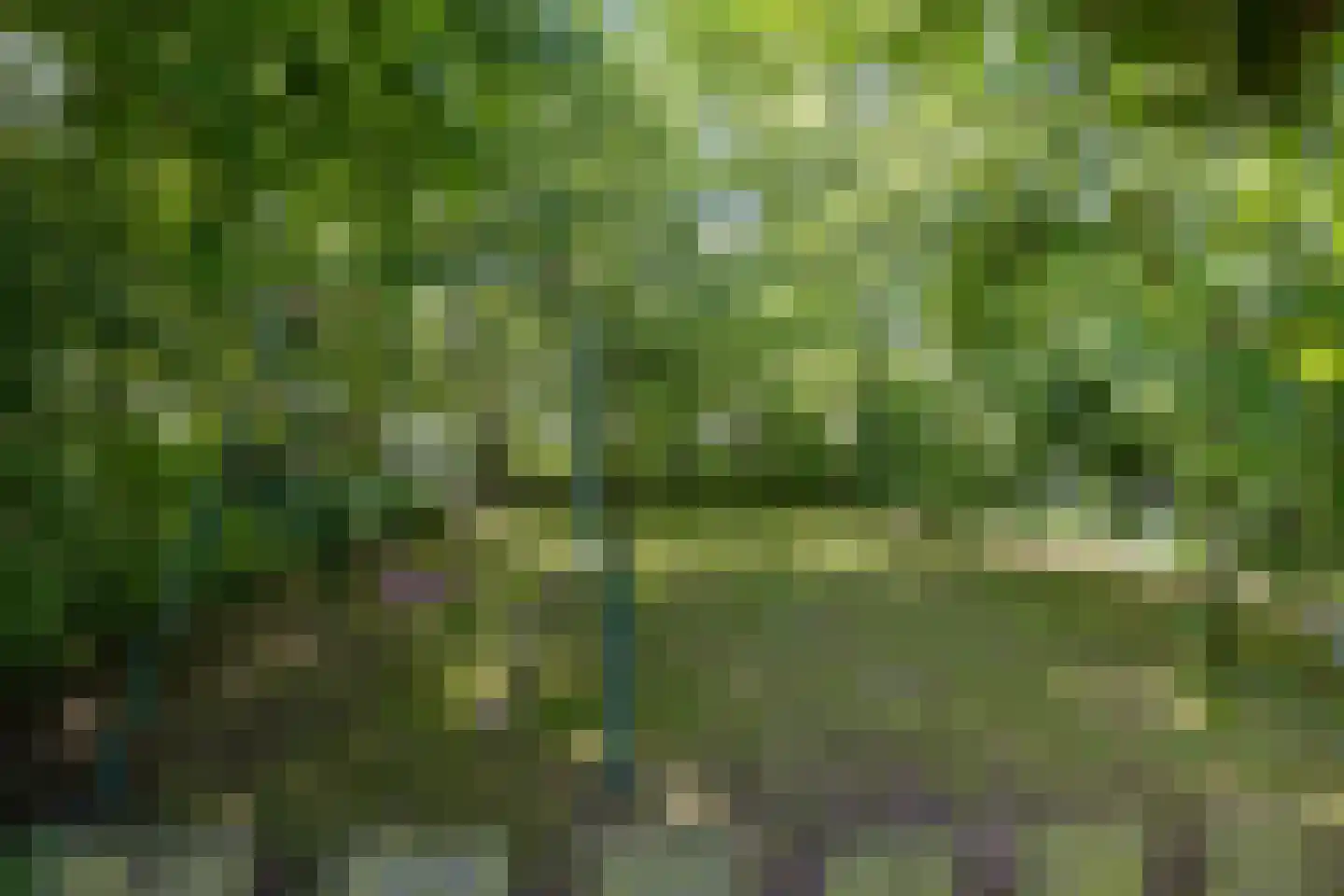 Ellerhuizen 13 Bedum thumbnail 58