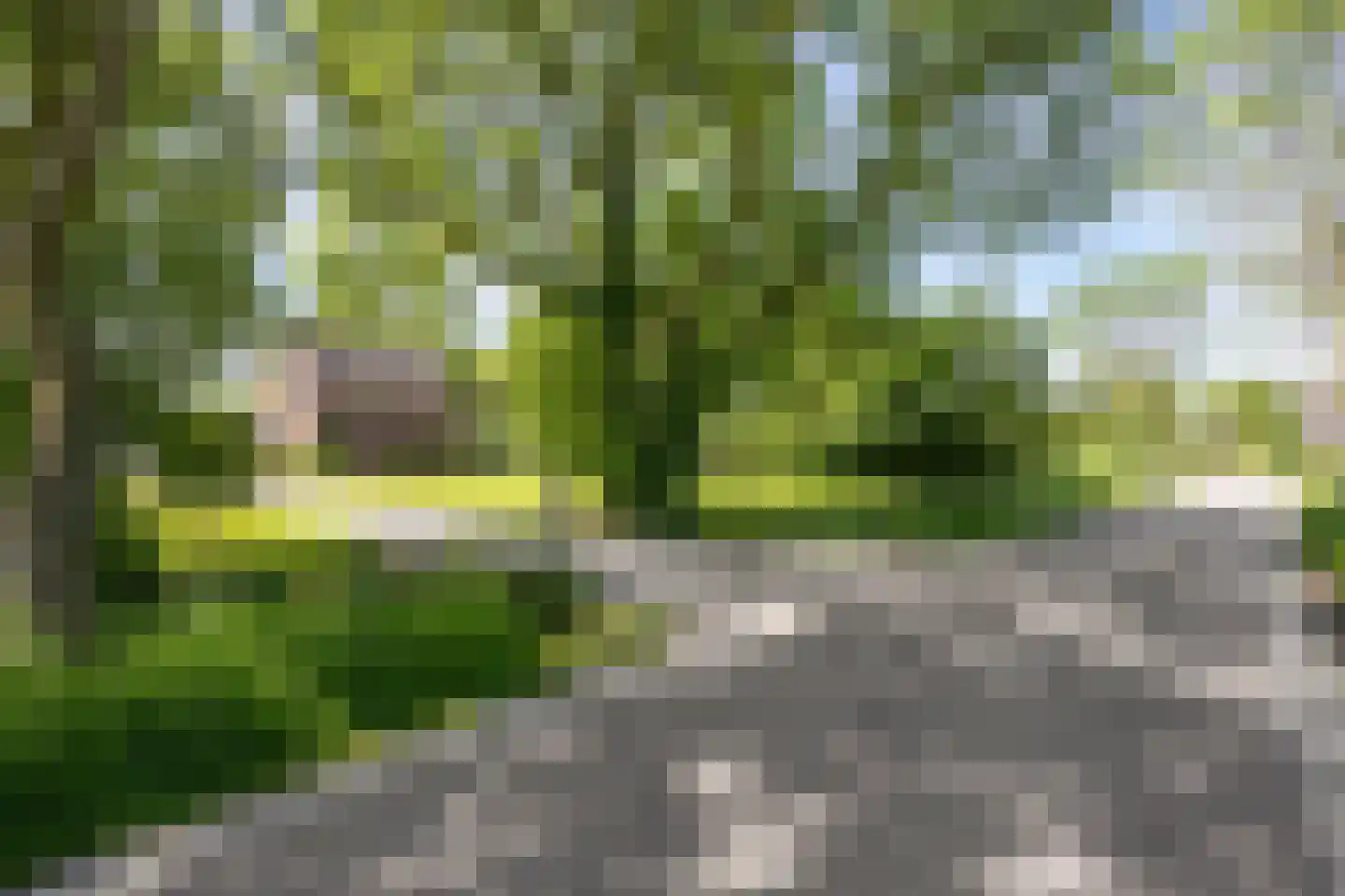 Ellerhuizen 13 Bedum thumbnail 6