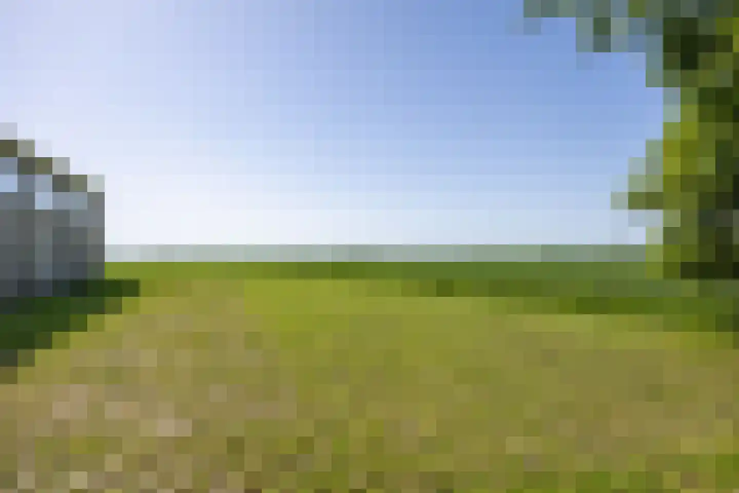 Ellerhuizen 13 Bedum thumbnail 67