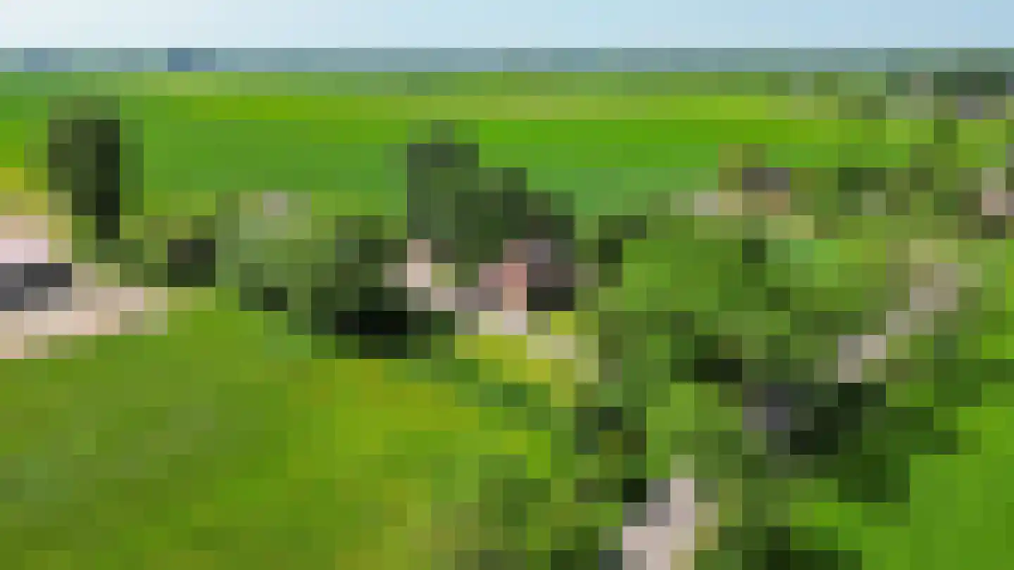 Ellerhuizen 13 Bedum thumbnail 8