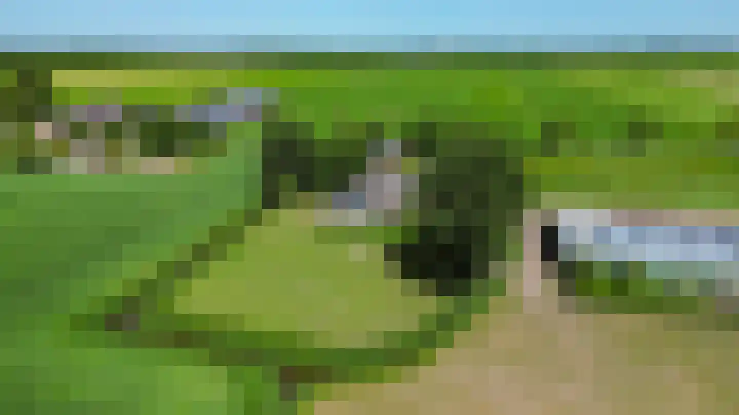 Ellerhuizen 13 Bedum thumbnail 9