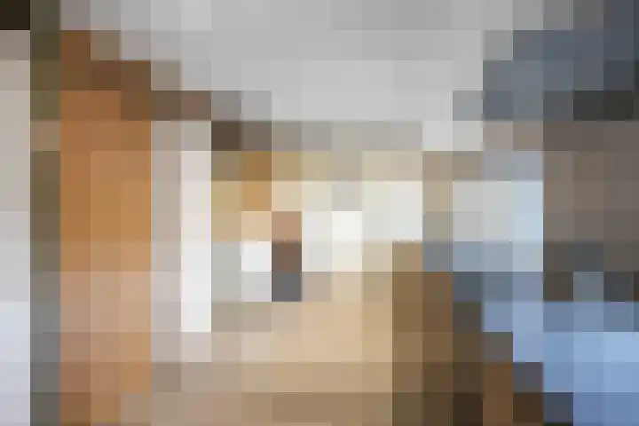 Ellerhuizen 16 Bedum thumbnail 12