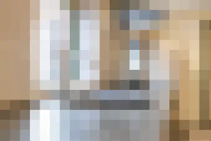 Ellerhuizen 16 Bedum thumbnail 13