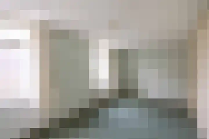 Ellerhuizen 16 Bedum thumbnail 21