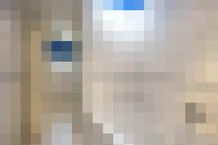 Ellerhuizen 16 Bedum thumbnail 23