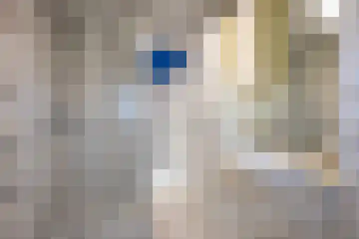 Ellerhuizen 16 Bedum thumbnail 25
