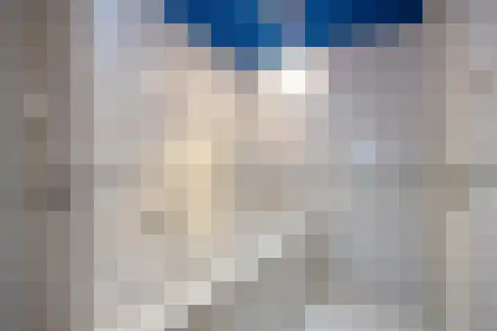 Ellerhuizen 16 Bedum thumbnail 26