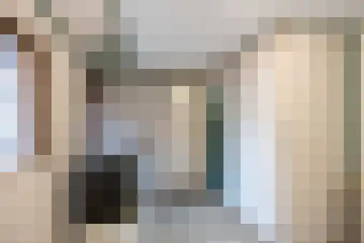 Ellerhuizen 16 Bedum thumbnail 28