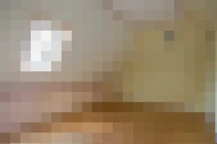 Ellerhuizen 16 Bedum thumbnail 33