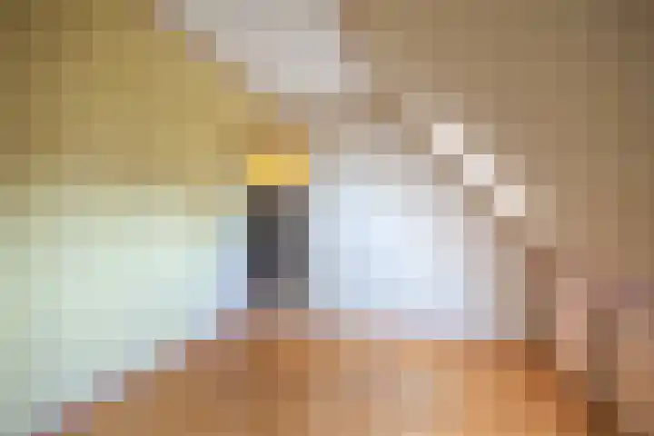 Ellerhuizen 16 Bedum thumbnail 34