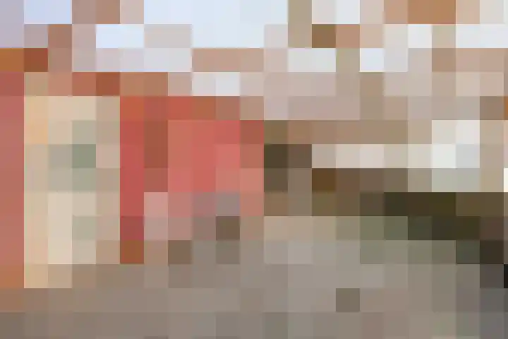 Ellerhuizen 16 Bedum thumbnail 39
