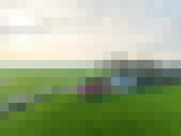 Ellerhuizen 16 Bedum thumbnail 4