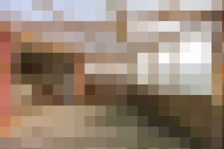 Ellerhuizen 16 Bedum thumbnail 40