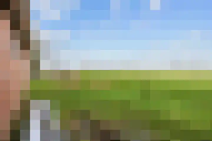 Ellerhuizen 16 Bedum thumbnail 46