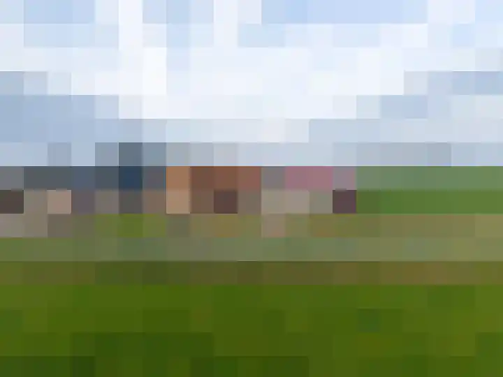 Ellerhuizen 16 Bedum thumbnail 5