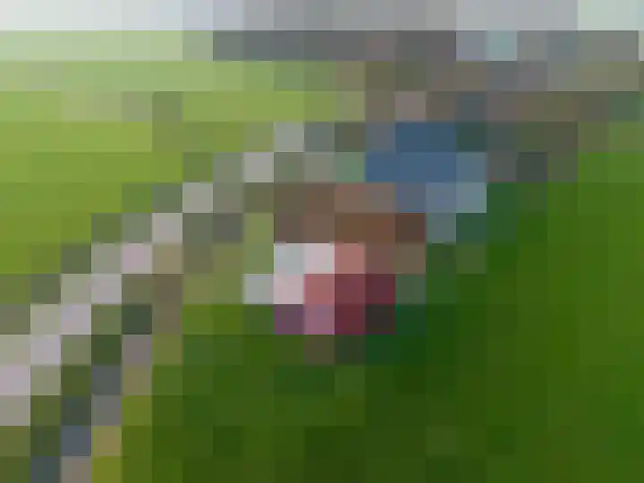 Ellerhuizen 16 Bedum thumbnail 6