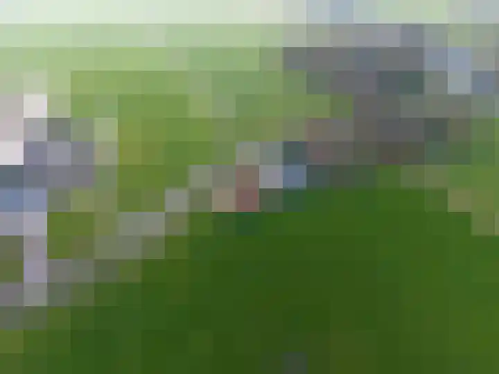 Ellerhuizen 16 Bedum thumbnail 7