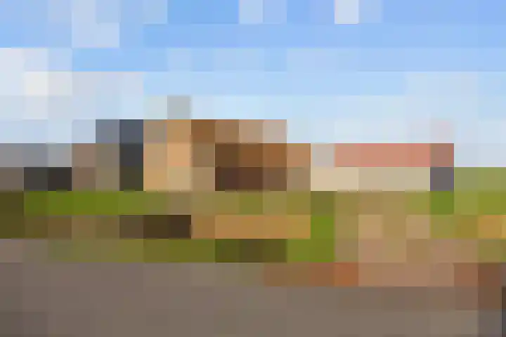 Ellerhuizen 16 Bedum thumbnail 8
