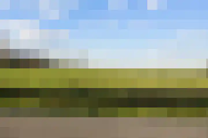 Ellerhuizen 16 Bedum thumbnail 9
