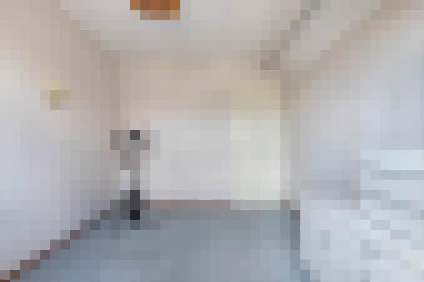 Ellertsveld 10 Emmeloord thumbnail 29