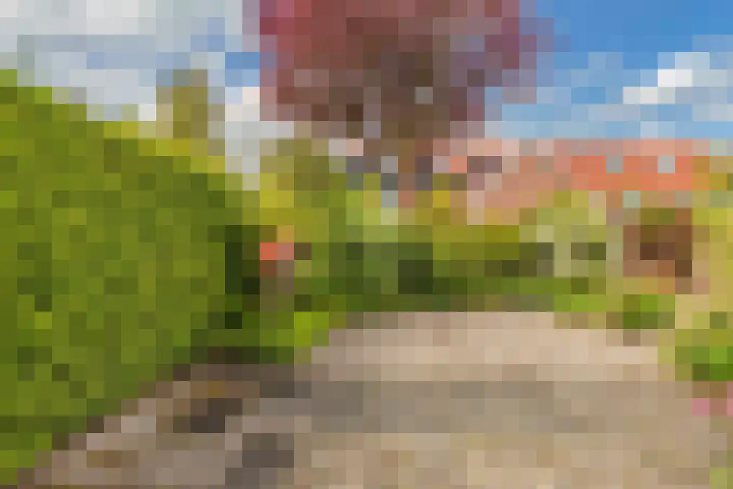 Ellertsveld 10 Emmeloord thumbnail 34